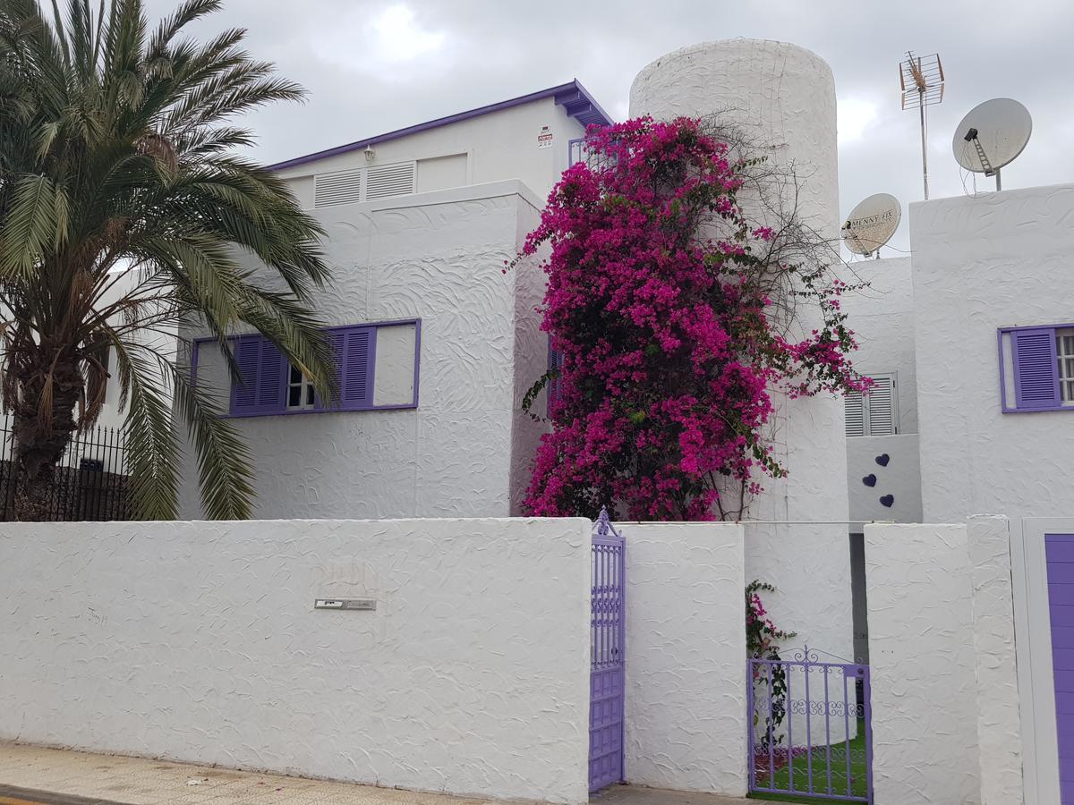 Lavanda Playa de las Américas