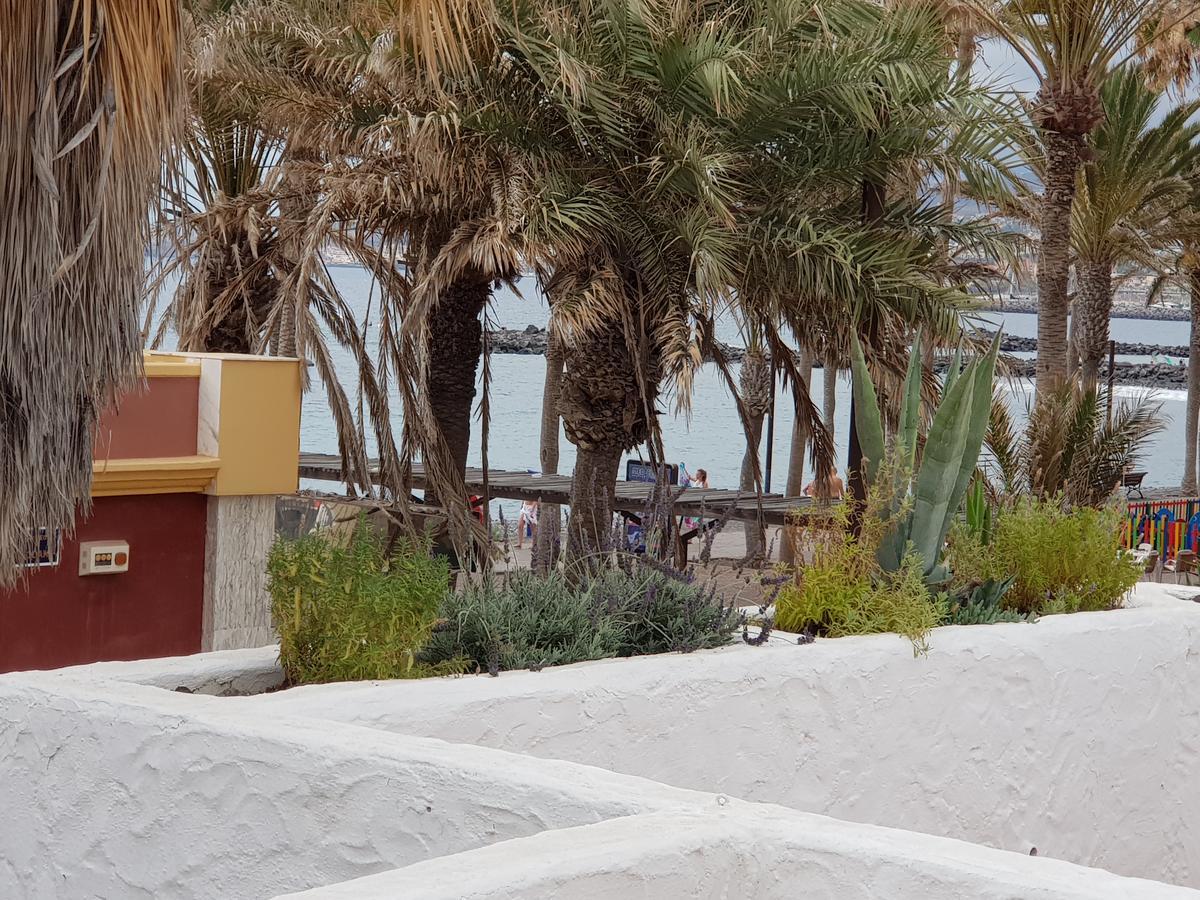Lavanda Playa de las Américas