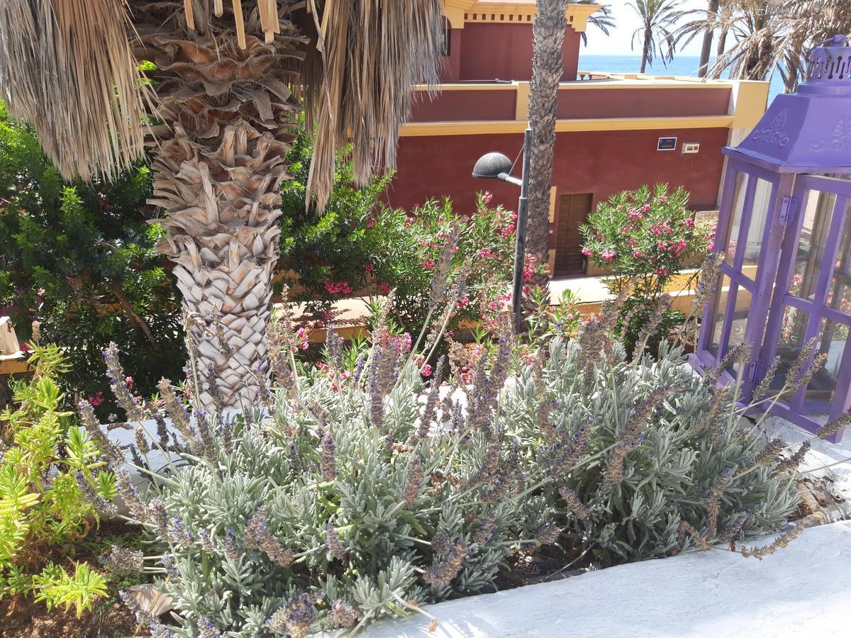 Lavanda