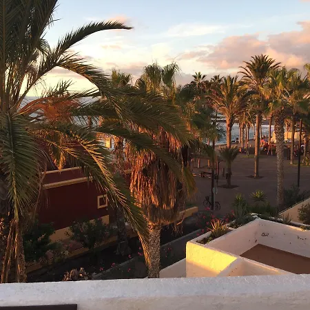Vila Lavanda Playa de las Americas  Exterior photo