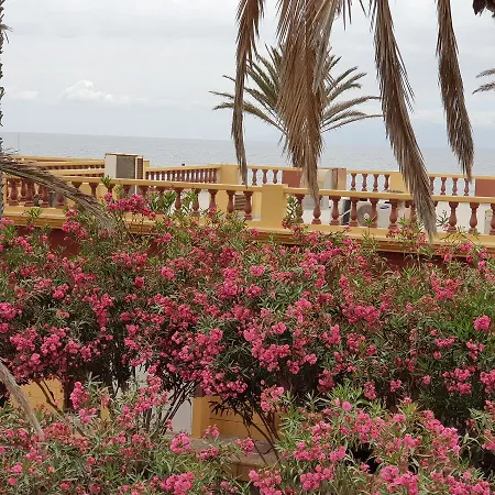 Vila Lavanda Playa de las Americas  Exterior photo