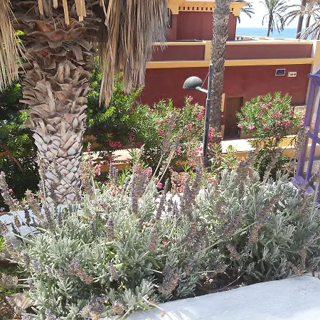 Vila Lavanda Playa de las Americas  Exterior photo