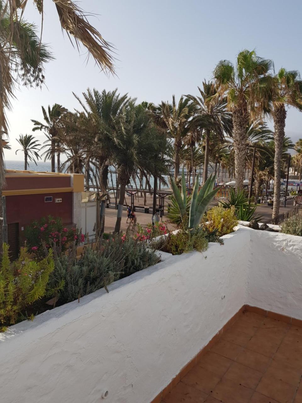 Aparthotel Lavanda Playa de las Americas (Tenerife)